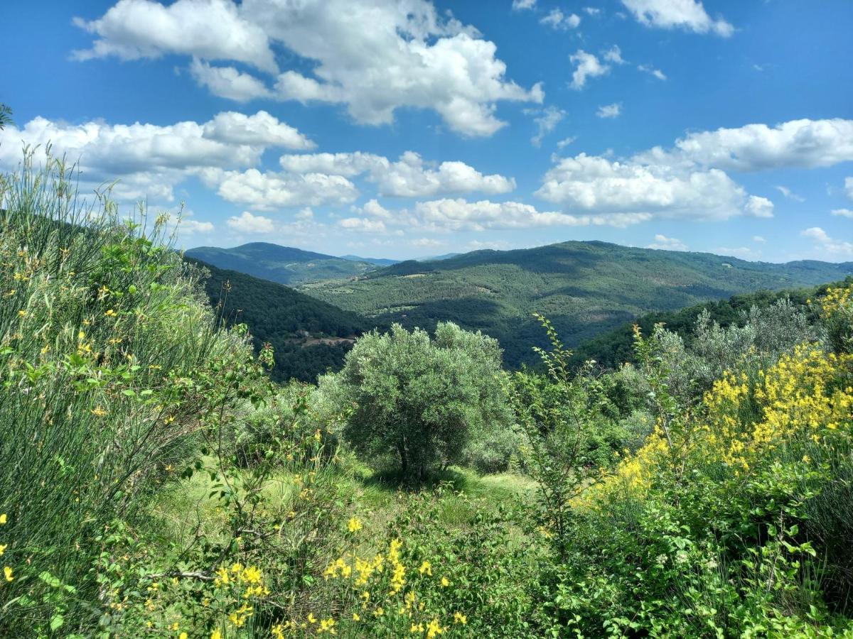Appartement Valle Dame Cortona