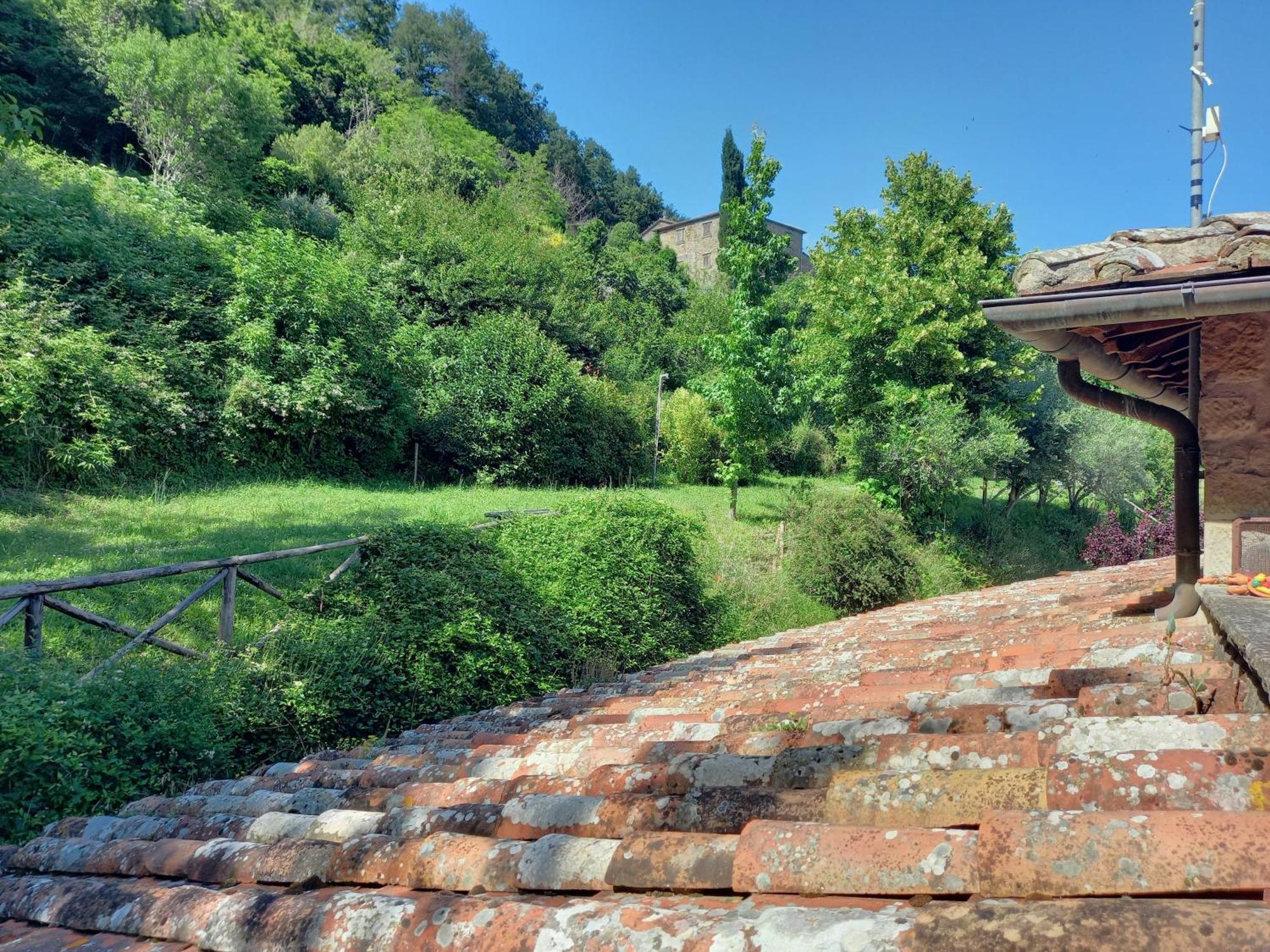 Valle Dame Cortona