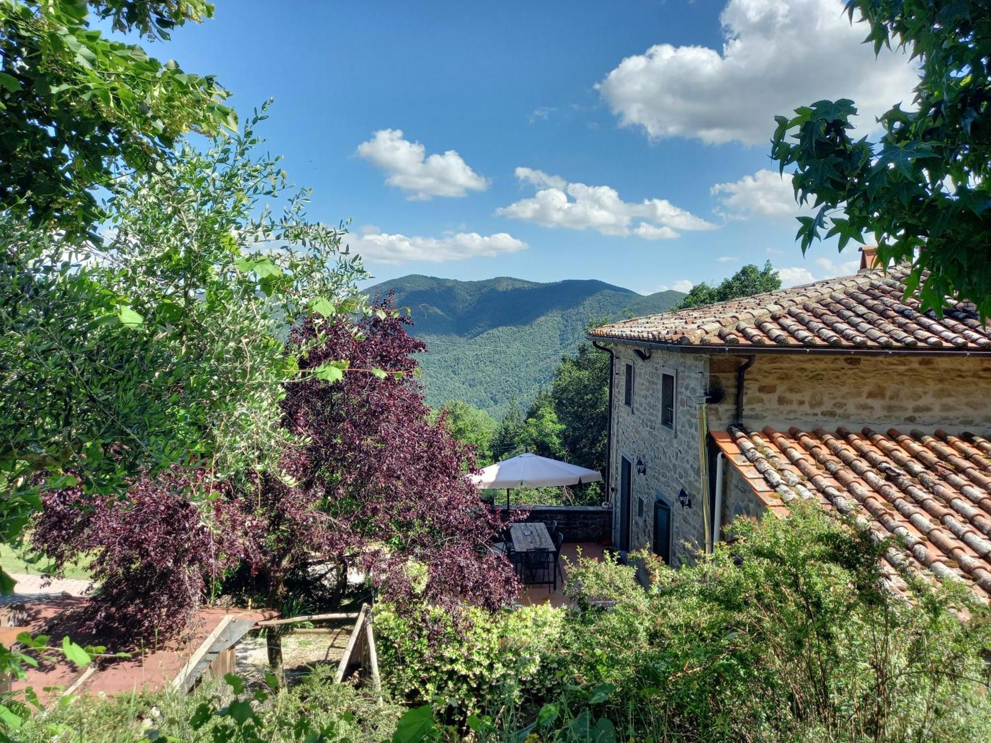 Valle Dame Apartment