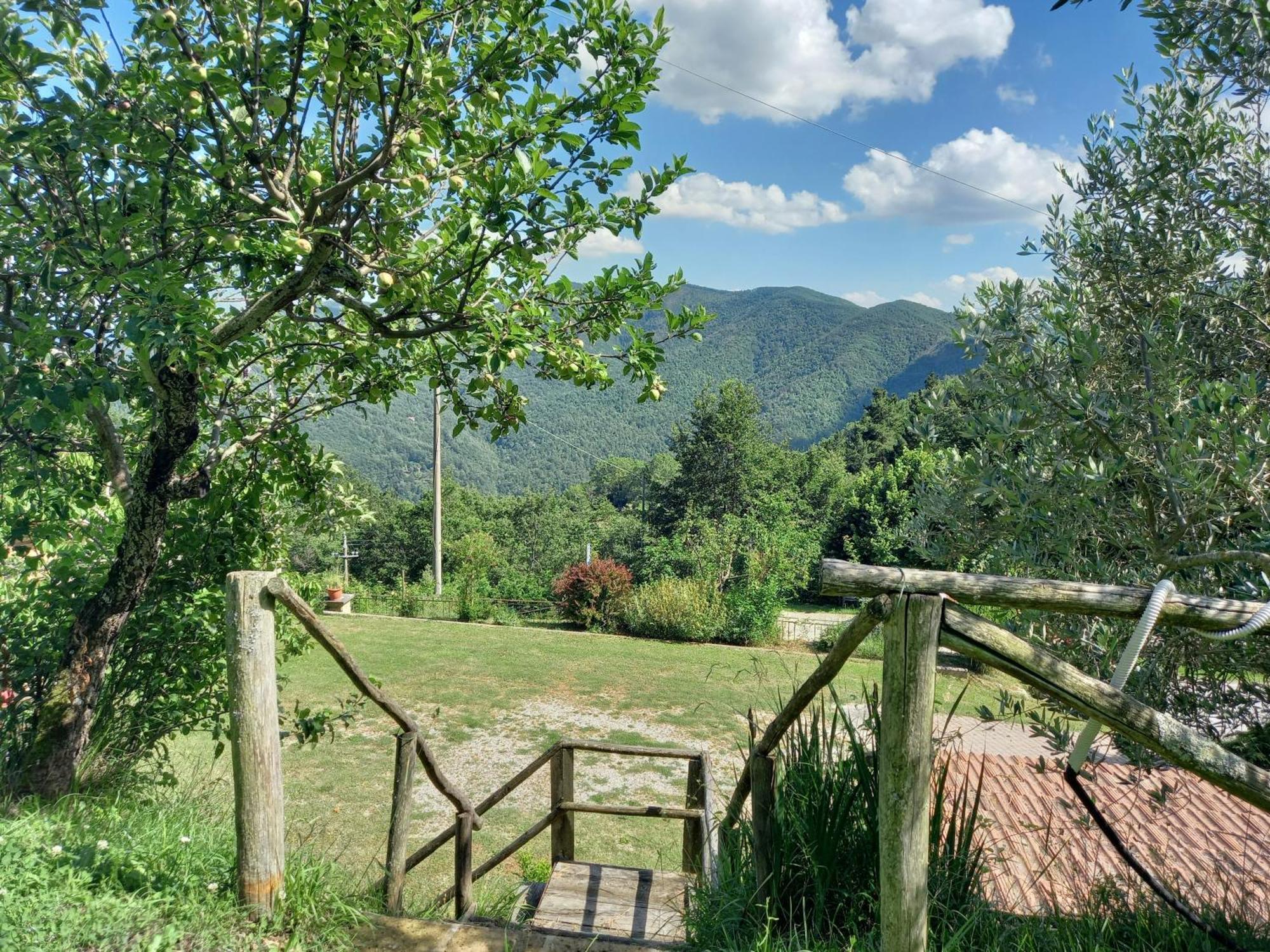 Valle Dame Appartement