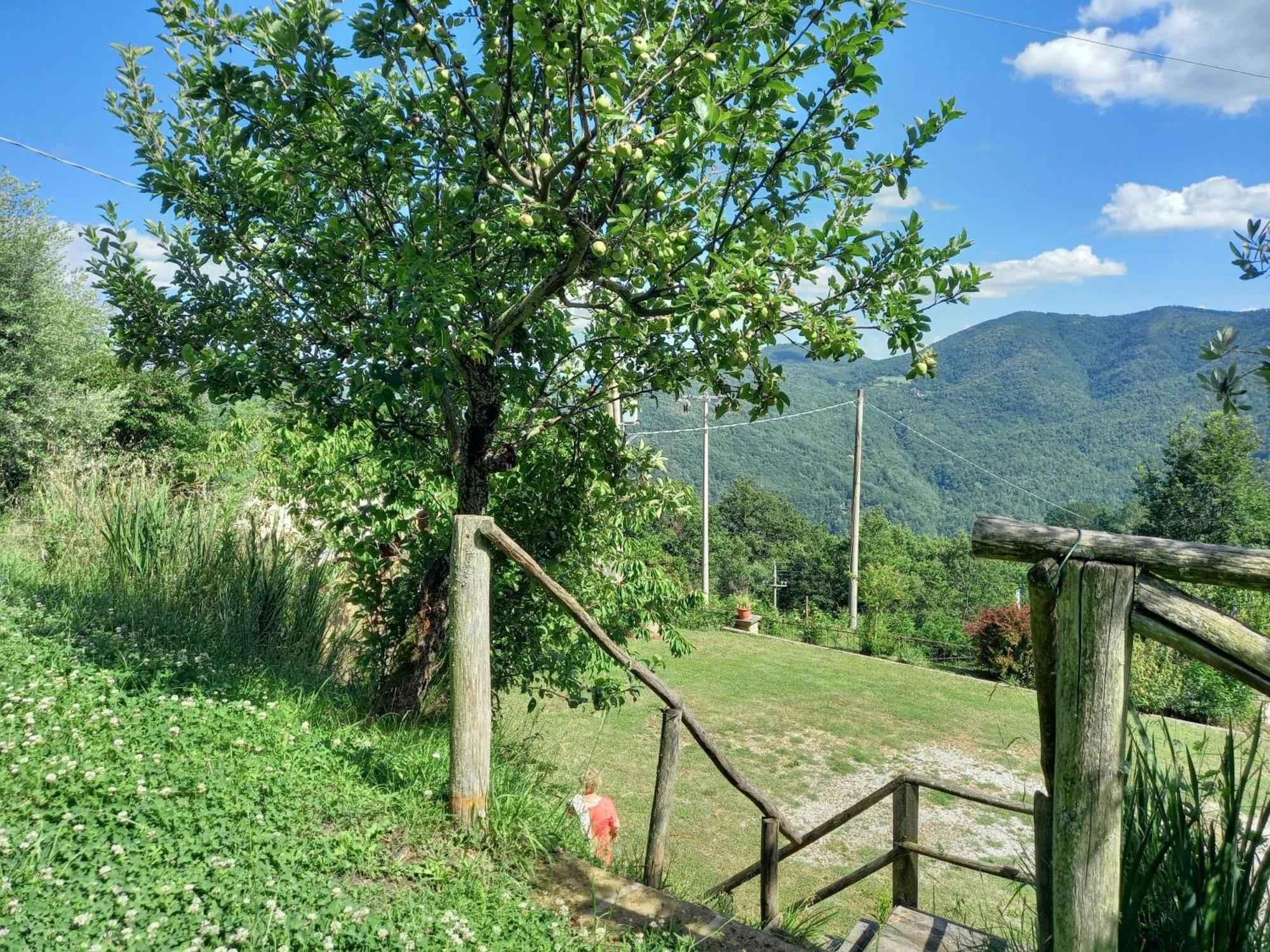 Valle Dame Appartement